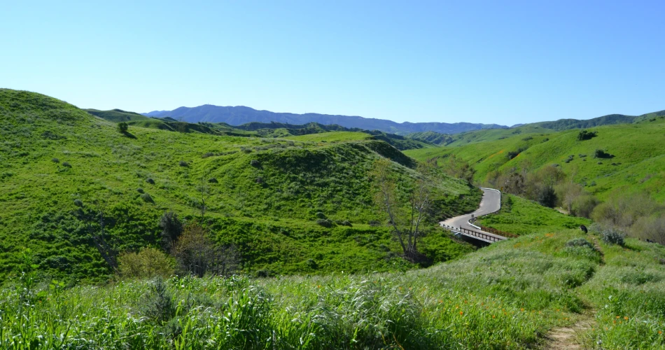 10 Best Things to Do in Brea, CA